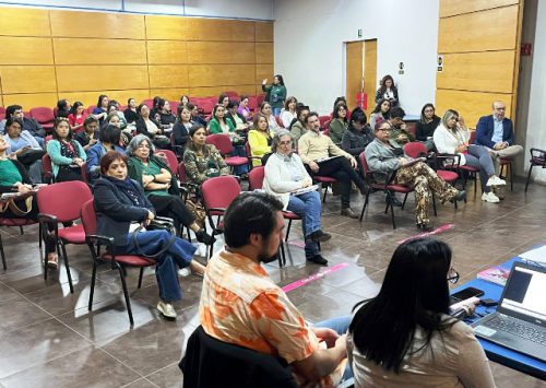 Alta convocatoria tuvo primera reunión de la red de infancia comunal de Los Andes