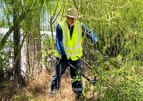 Avanza el plan de desmalezado en Los Andes