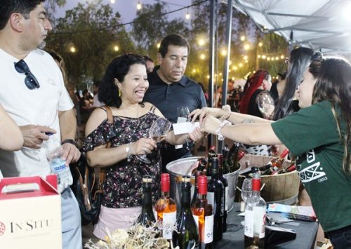 Rotundo éxito fue la Fiesta del Vino Aconcagua en el Parque Urbano de Los Andes