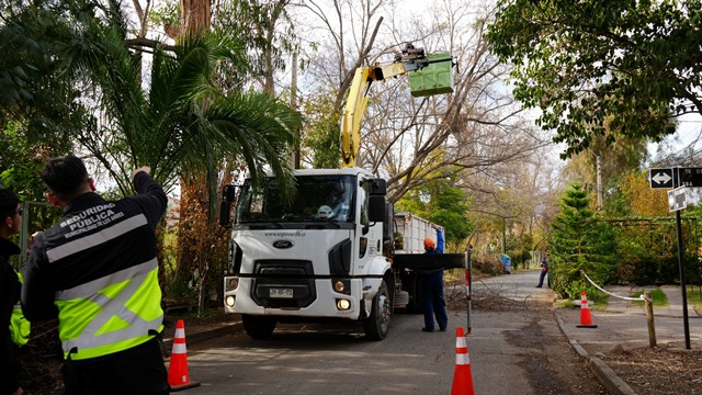 Municipio andino realiza poda de gran altura para prevenir emergencias